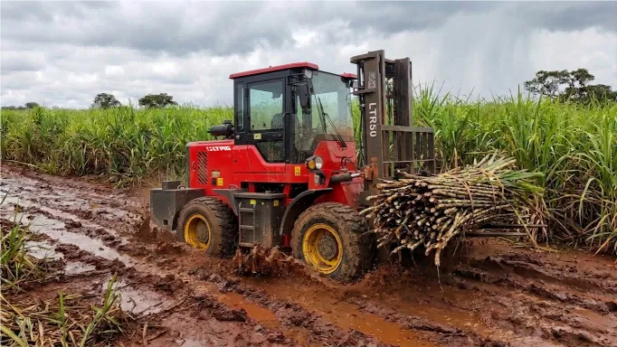 All-terrain forklifts in sugarcane fields All-terrain forklifts in sugarcane fields